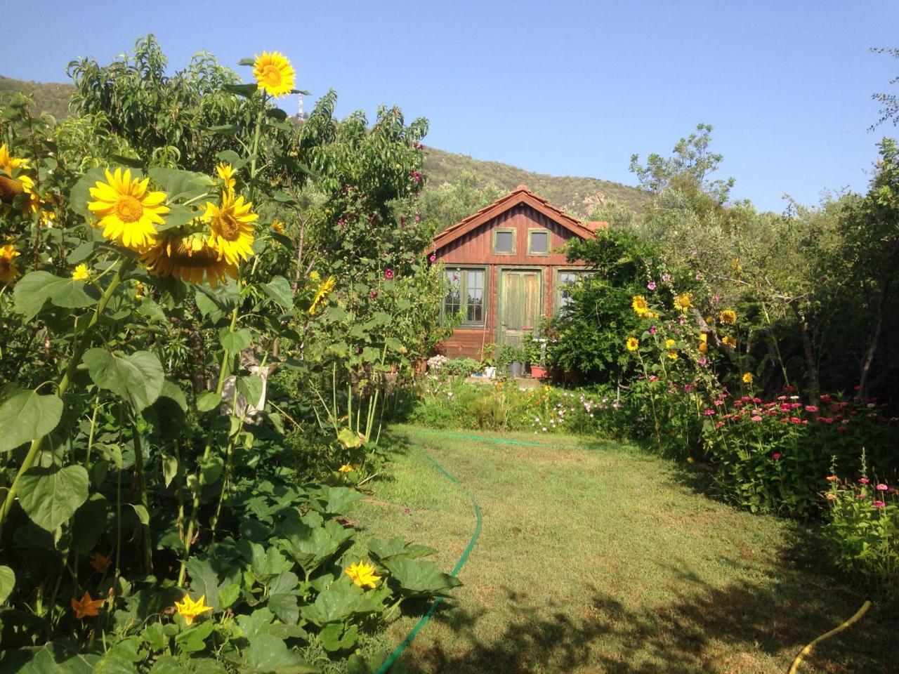 Villa Afroditi Nea Vrasna Luaran gambar
