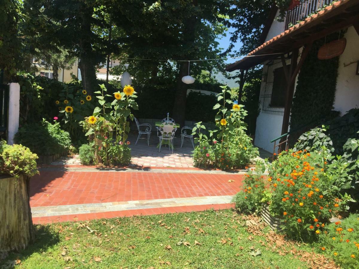 Villa Afroditi Nea Vrasna Luaran gambar